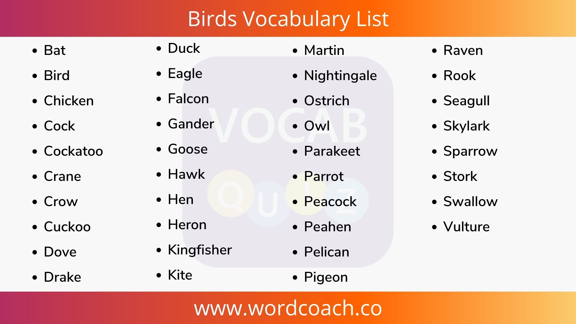 Birds Vocabulary List