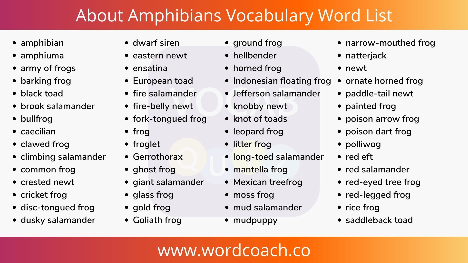 About Amphibians Vocabulary Word List - Vocab Quiz